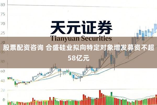 股票配资咨询 合盛硅业拟向特定对象增发募资不超58亿元