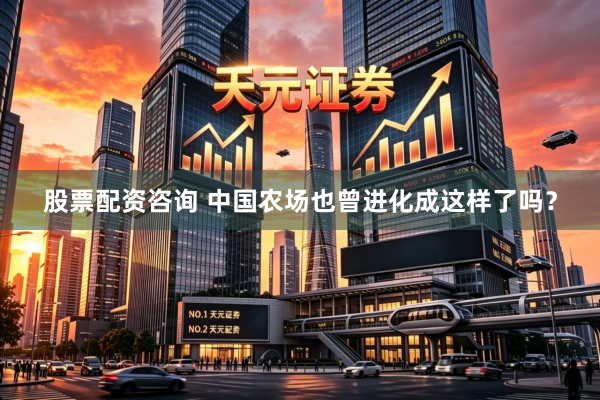 股票配资咨询 中国农场也曾进化成这样了吗？