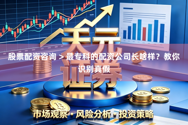 股票配资咨询 > 最专科的配资公司长啥样？教你识别真假