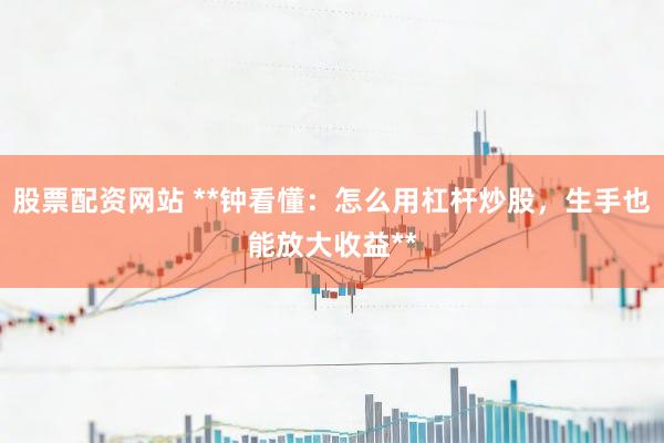 股票配资网站 **钟看懂：怎么用杠杆炒股，生手也能放大收益**